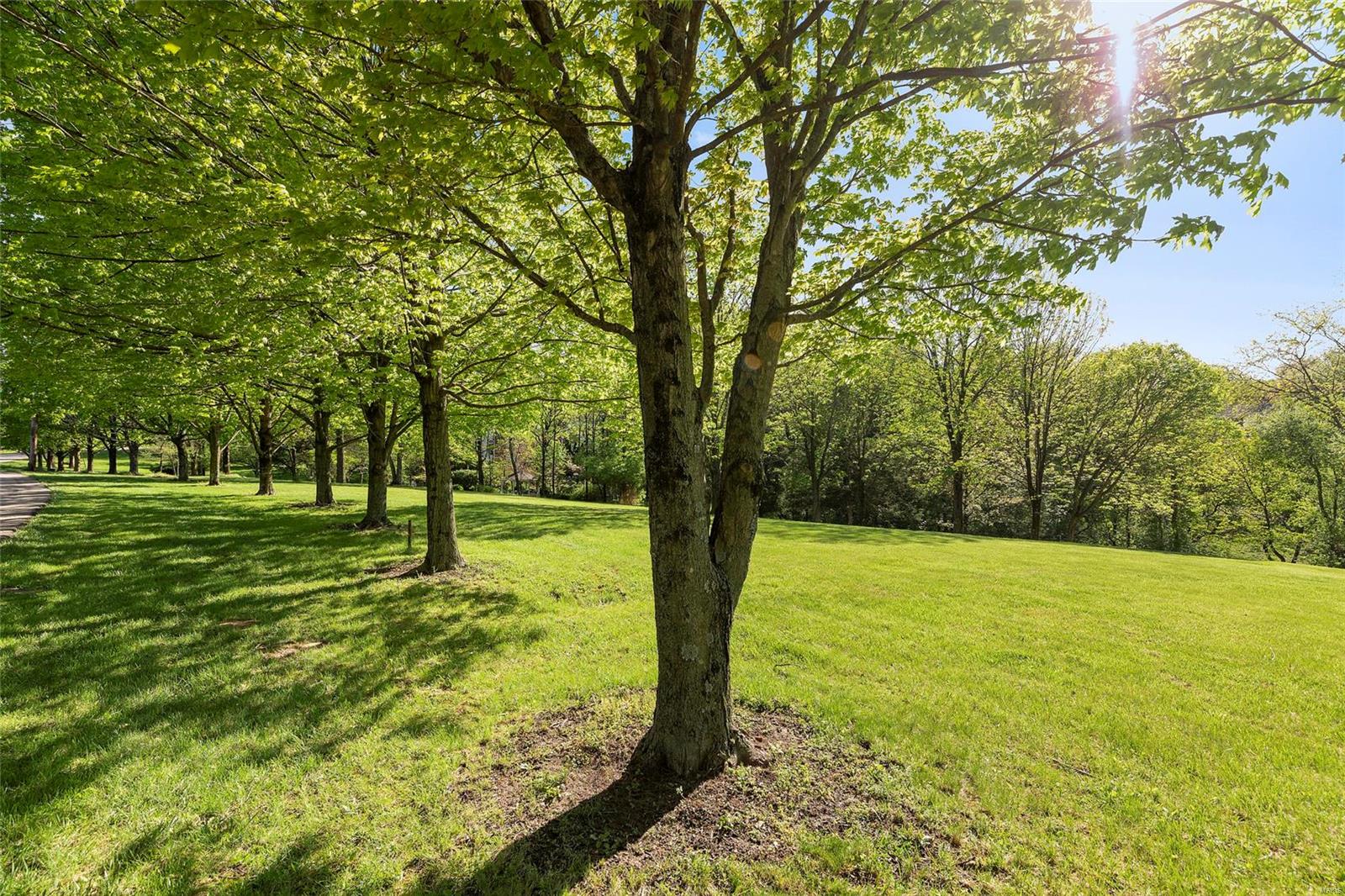 Section 25-45-3 Bdy Adj - Residential