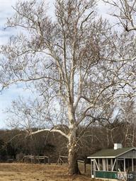 Other / Rural - Farm