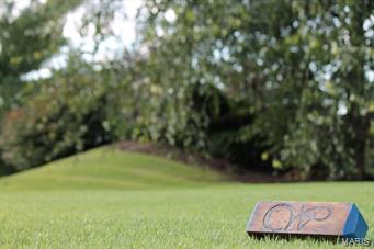 Whitmoor - Residential