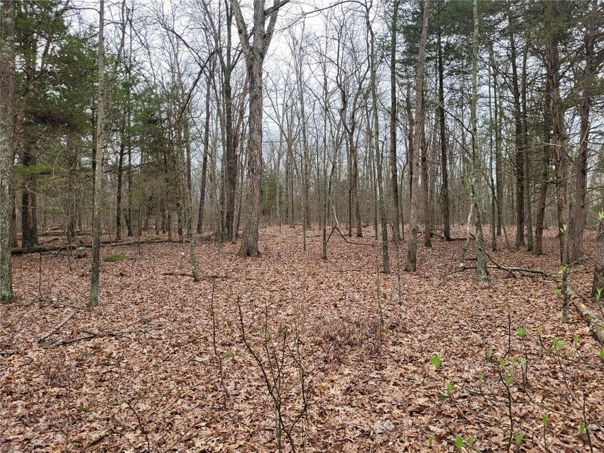 This is the off-grid hunting property yo have bene looking for. This land is almost perfectly flat and is completely covered by tall mature trees. This is a secluded lot that is off the beaten path and would make a perfect place to camp all while being less than 20minutes away from Fredericktown. There are no restrictions on this property. I recommend using a 4x4 vehicle to view the property, there is a mile long dirt road that leads to the property. There is no access from Highway H.