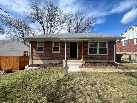 7325 Field Avenue, St Louis, MO 63116 - MLS#: 25019825
