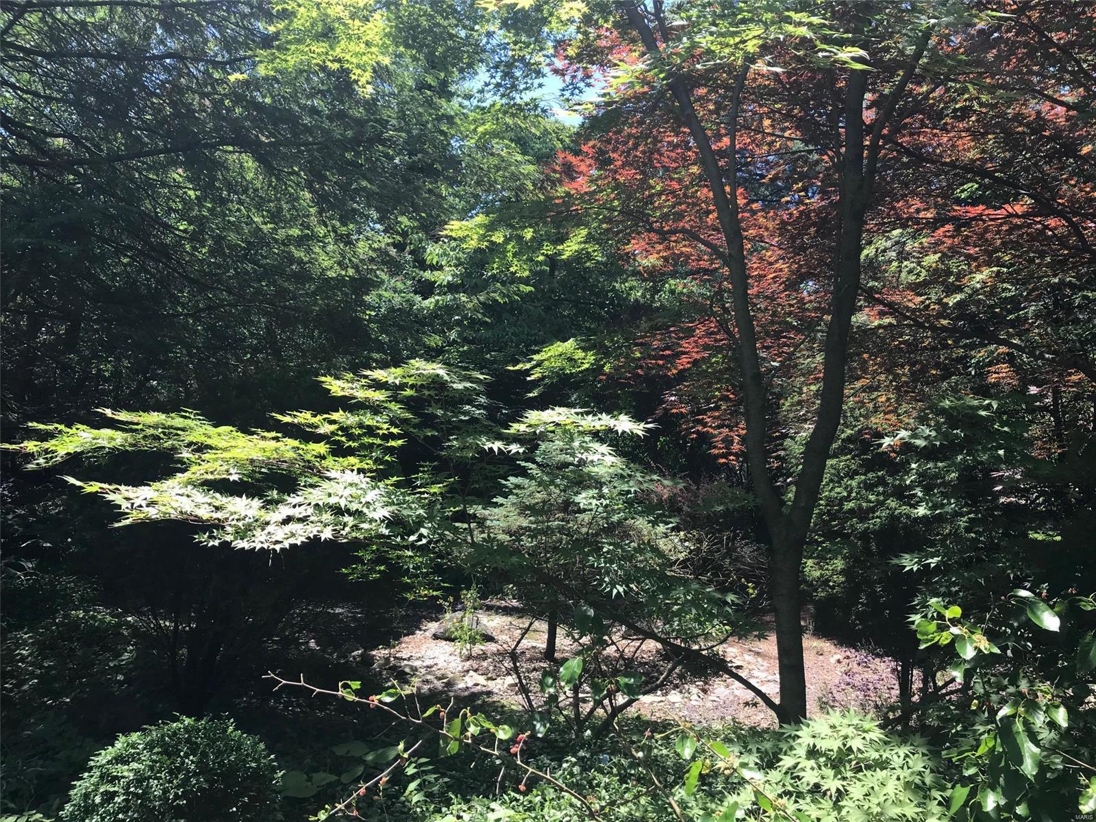 Frontenac Forest - Residential