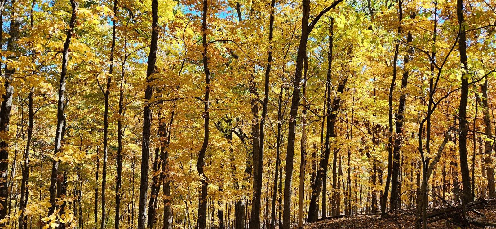 Lasalle Woods - Residential