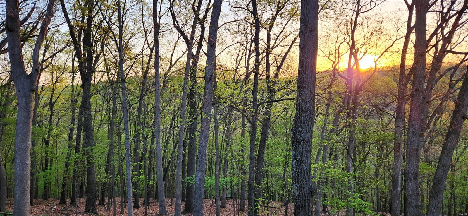 Lasalle Woods - Residential