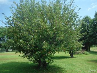 Stonebriar Estates - Residential