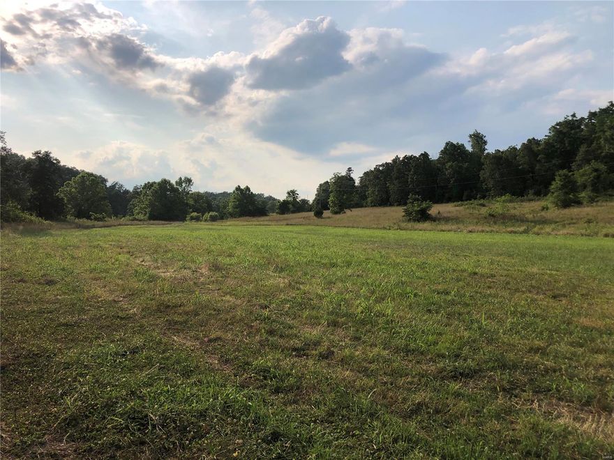 55 acres of pasture land producing very good hay crop. Spring fed creek on property with a 60 x 40 equipment barn. Many species of wildlife on property including white tailed deer and Turkey! Property was previously cut for hay and used as a hunting retreat. Electric and well on property also. Many beautiful home spots available as well. More acreage is available if desired!