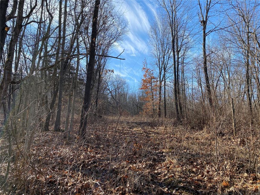 Five acres nestled back in the woods. Former home site with electric, septic and cistern. Old home structure needs to be removed.
Pre-approval/proof of funds needed.