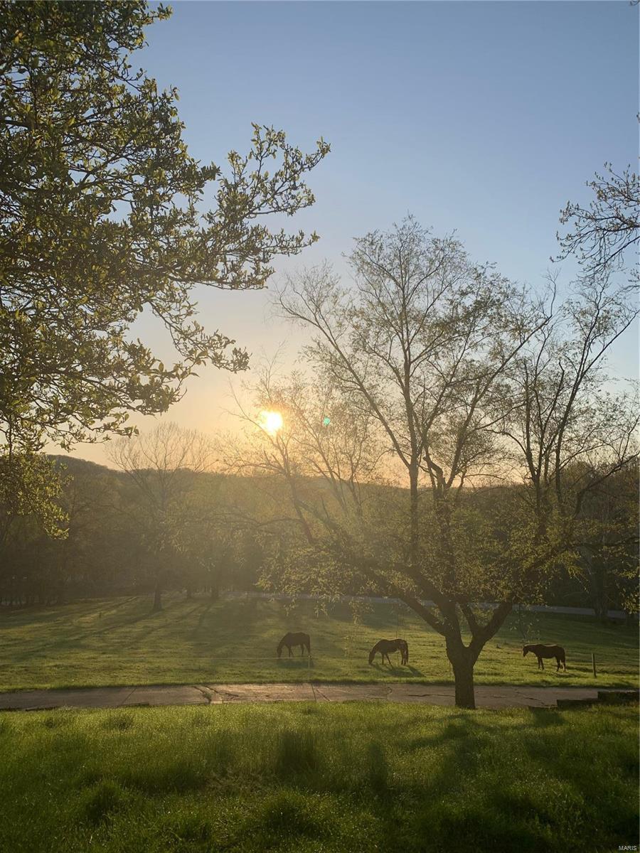 Bopp Estates Resub - Residential