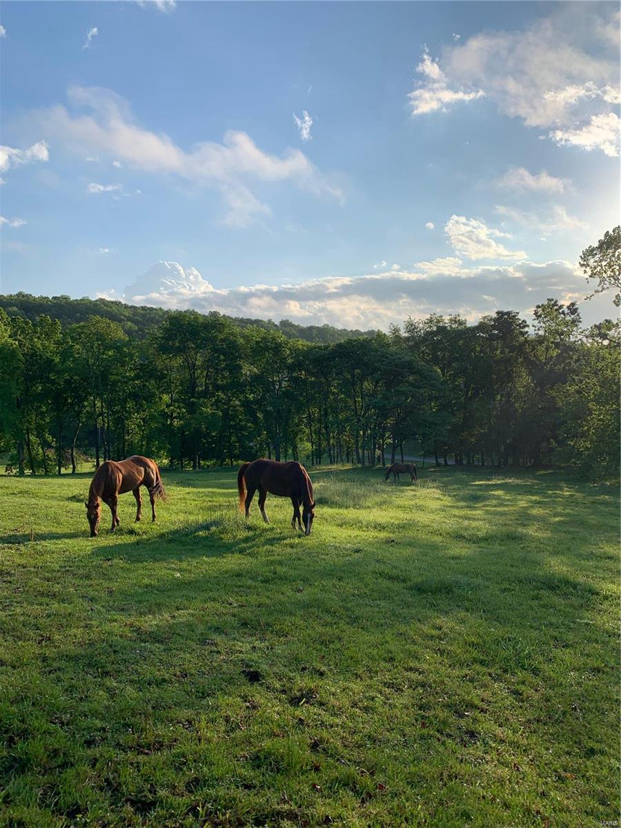 Bopp Estates Resub - Residential