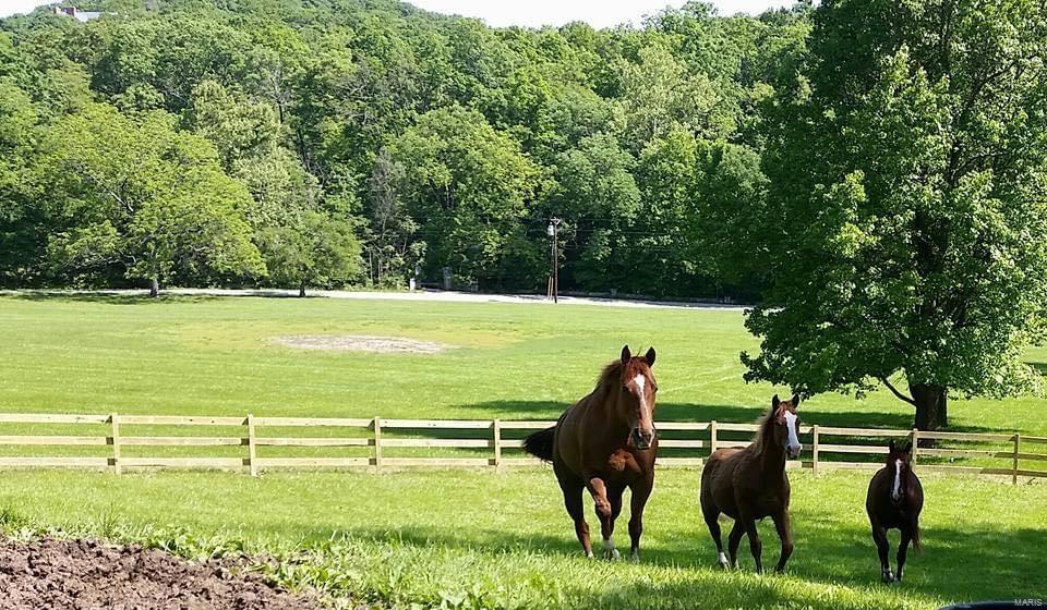 Bopp Estates Resub - Residential