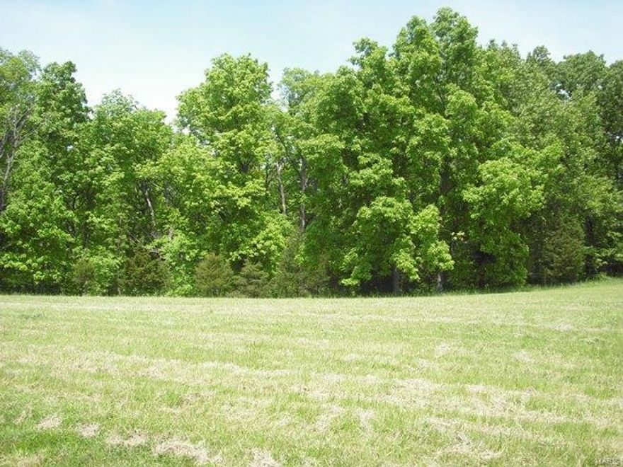 Mostly wooded acreage with open area to the fornt. Great home site for custom building in a new subdivision! Just off of Highway 47 and only 2.5 miles from Highway 70.