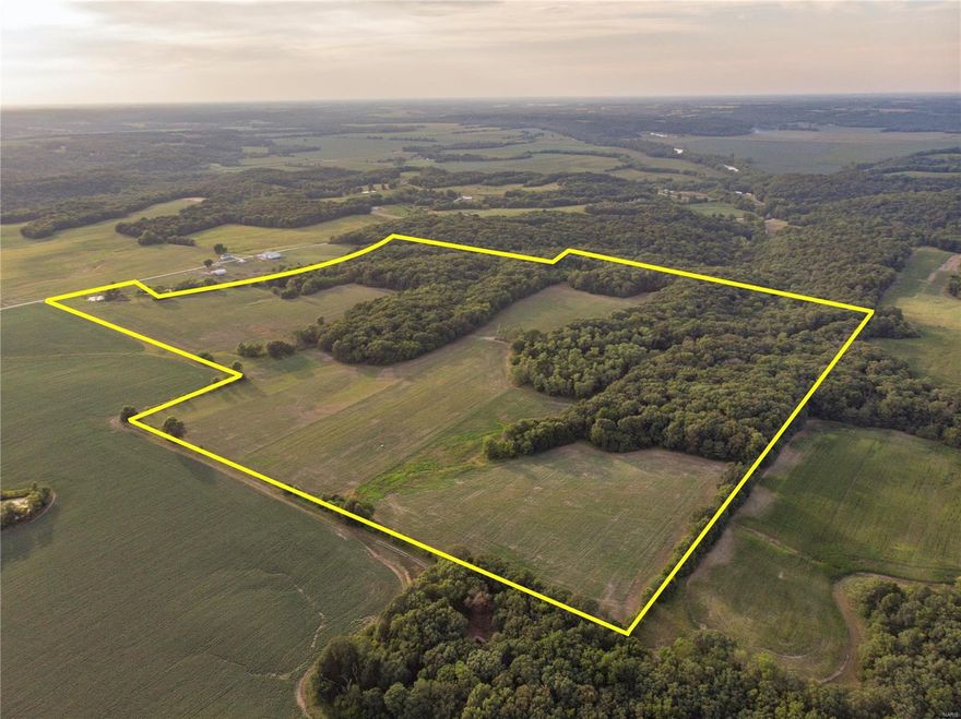 This 100 acre farm in Ralls County, Missouri is conveniently located just 5 miles north of Center and offers an outstanding opportunity for outdoor enthusiasts. The property offers exceptional hunting opportunities with the abundance of deer and turkey that call this property home. Approximately 46 acres is being farmed and is currently cash rented for $229 per acre which makes this a great income producing property!