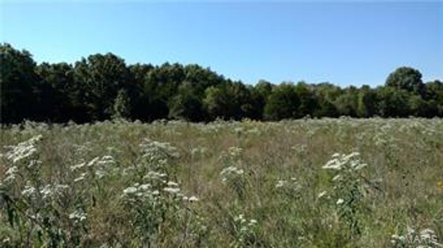 WOW!! THIS IS A GREAT PIECE OF PROPERTY,  40 acres of prime hunting, cattle, farming, or just what ever you want to do with it.  The property is located 10 minutes from St. Robert in the Waynesville School District.  The property is wide open with trees around the perimeter.  Fishing not a problem this property offers a small pond.  The property has two well points and electricity.  This is must see property!!! You are not going to believe it. It is priced to sell.