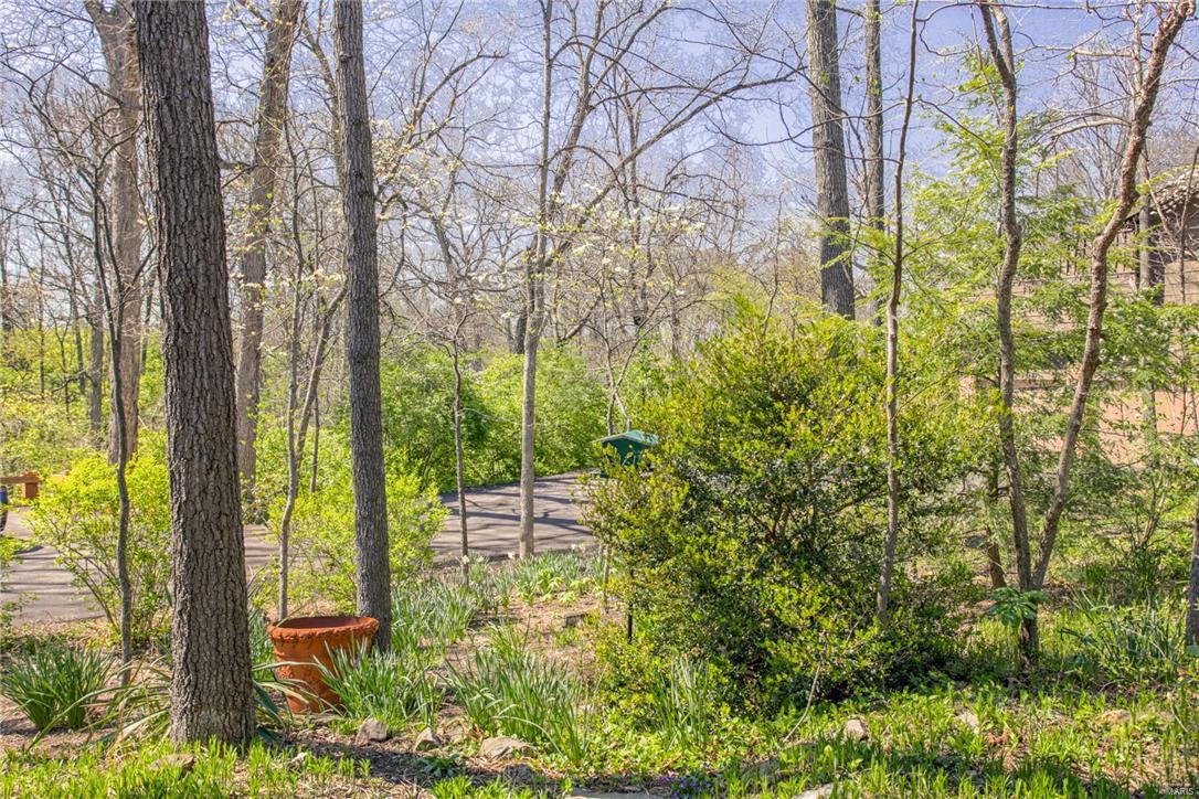 Birnamwood Condo - Residential