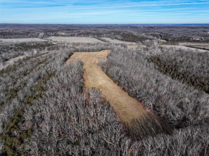 The location of this property is only 10 minutes from Festus with a gated entrance off Bage Road. The property consists of open pasture ground and hard timber with a ridge running through the property adding character to the land. The high flat spot on top of the ridge makes a beautiful building spot. If you’re looking to build the dream home you have always wanted with the beautiful view overlooking the rolling hills of Jefferson County then this is the place for you. There is plenty of area on this property to have multiple houses built, while still having enough acreage for recreational fun. The property and surrounding area is home to deer and turkeys making this property a great hunting opportunity. Electric is available at Bage Road.