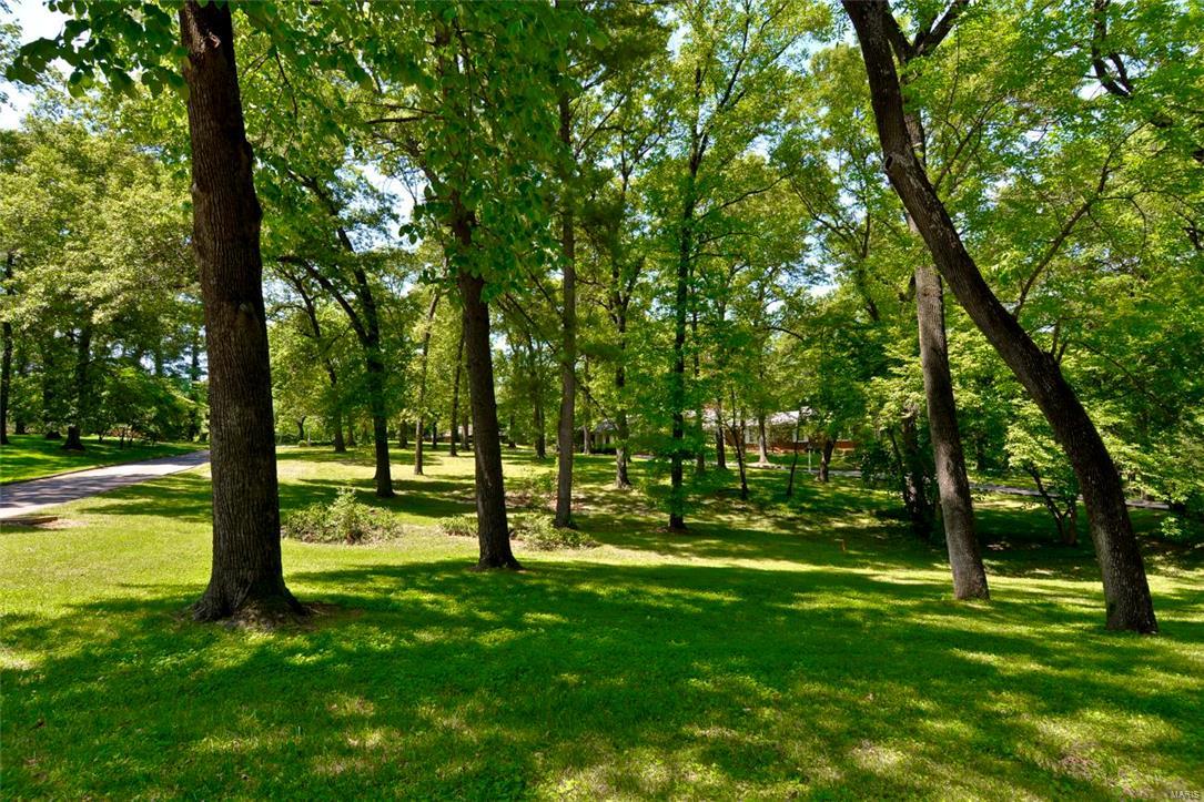 Barclay Woods - Land