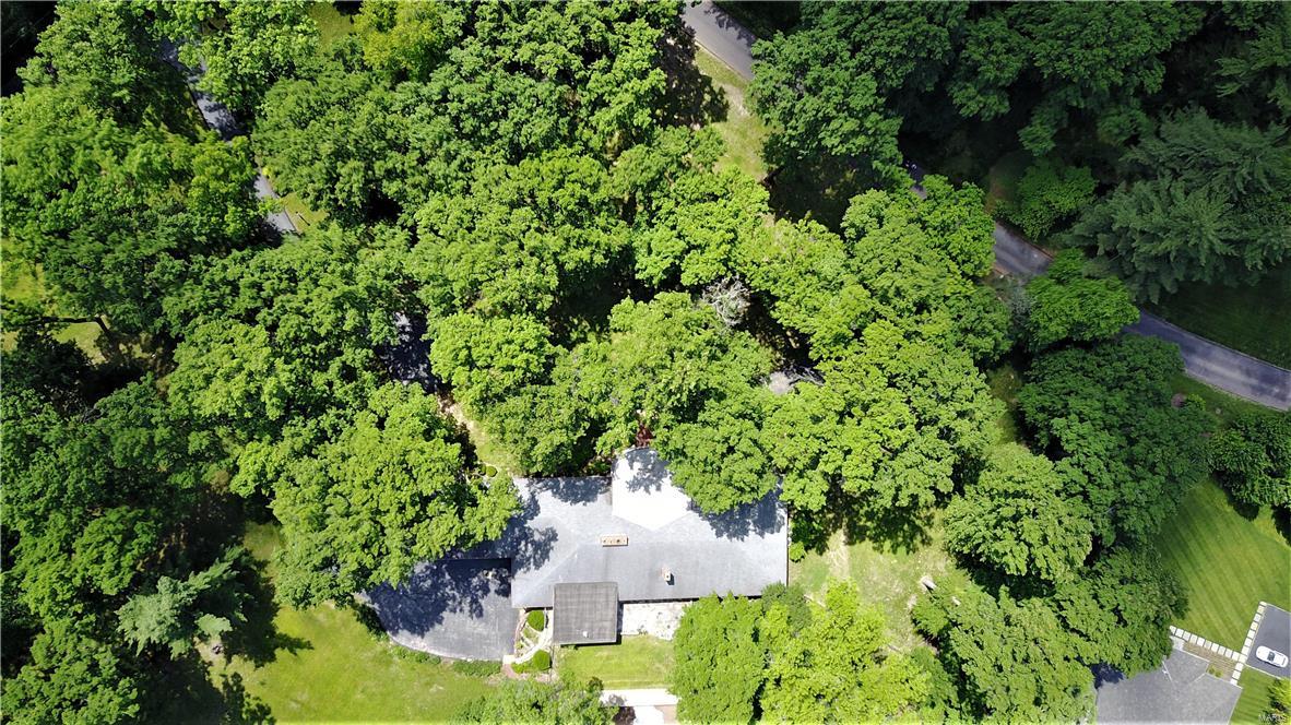 Barclay Woods - Land