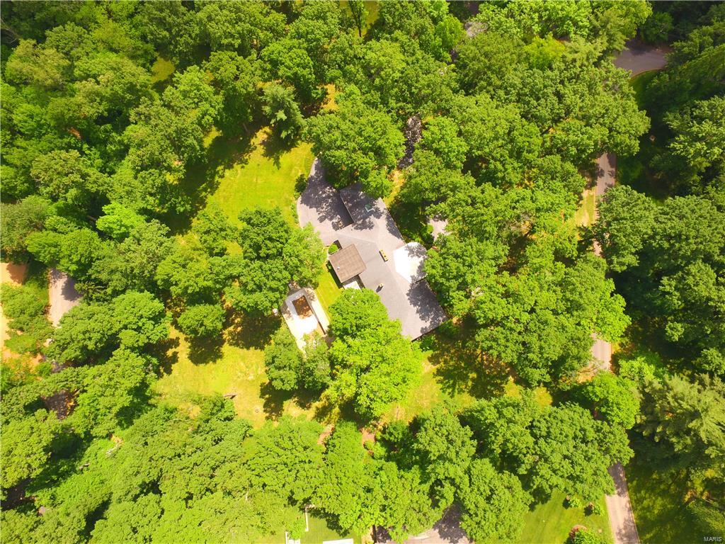 Barclay Woods - Land