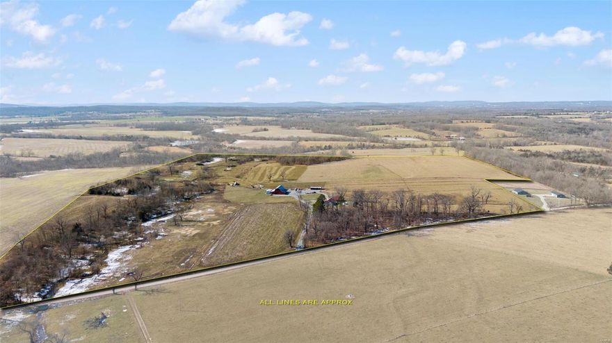 One of a kind farm for sale! RARELY IF EVER do farms of this kind come up for sale in Libertyville. Located minutes form Farmington. Top tier tillable soils, high productivity with proven history and continued upkeep make this a once in a lifetime offering. Nearly new construction home, with walkout basement, detached and insulated garage, large historically renovated barn and additional improvements make this an ideal setting for a potential buyer. Currently set up as a cattle/ animal farm with new fencing throughout. Owner has farm sectioned into paddocks for rotational grazing with automatic waterers and new cattle handling equipment. This farm creates effortless management of livestock and ease of living in some of the most picturesque countryside in southern Missouri.