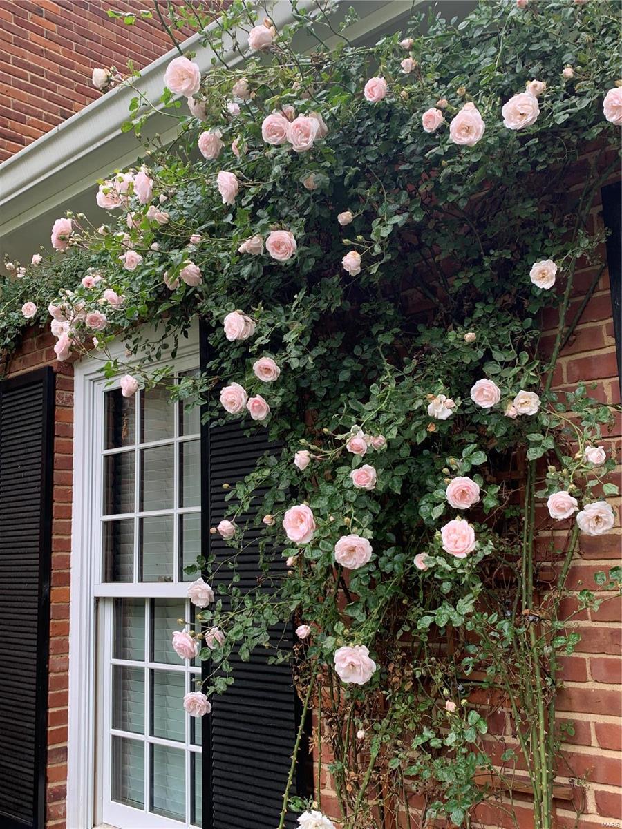 Portland - Residential