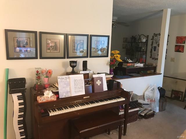 Spring Creek Condo Ph 18 - Residential