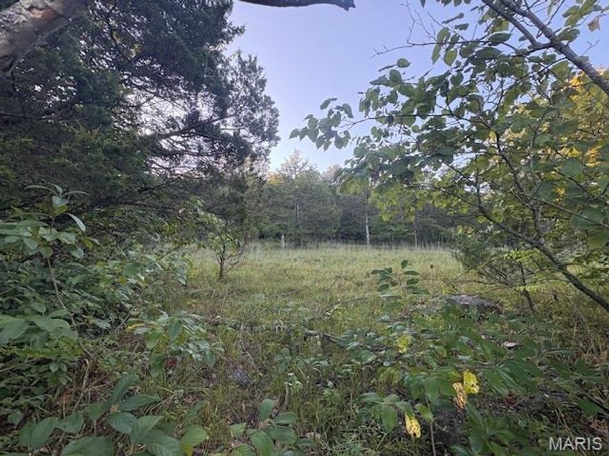 Build Your Dream Getaway on the 2nd Tier Lot on Spring Lake in Raintree Plantation (this lot is accross the street from Spring Lake).  Whether you're looking to build your dream home or simply enjoy the perks of ownership, this lot is walking distance to the dam for great fishing access on this approx 50 acre lake. It offers exceptional value and access to everything Raintree Plantation has to offer.

Live like you're on vacation every day with resort-style amenities, including:

4 private community lakes for fishing, boating, kayaking