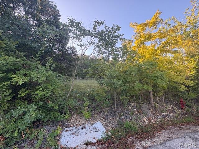 Raintree Plantation Sec 25 - Land