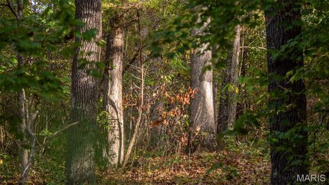 Tiny photo for 25461 Sky Drive, Warrenton, MO 63383 (MLS # 25068368)