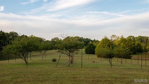 Tiny photo for 25461 Sky Drive, Warrenton, MO 63383 (MLS # 25068368)