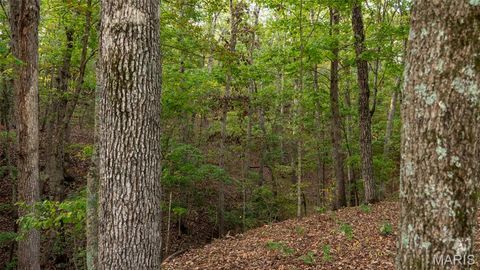 Tiny photo for 25461 Sky Drive, Warrenton, MO 63383 (MLS # 25068368)