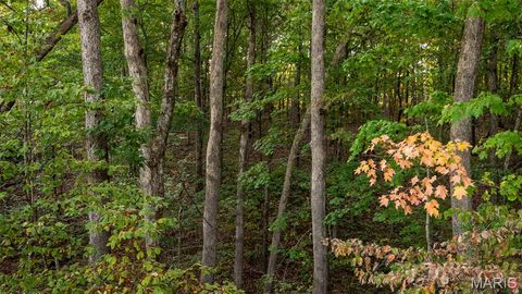 Tiny photo for 25461 Sky Drive, Warrenton, MO 63383 (MLS # 25068368)