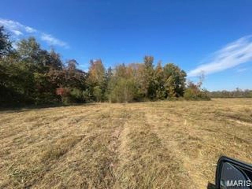 Approx. 17 acres +/- of pasture and 5 acres +/- of wooded ground. 5 acres +/- are in wetlands.