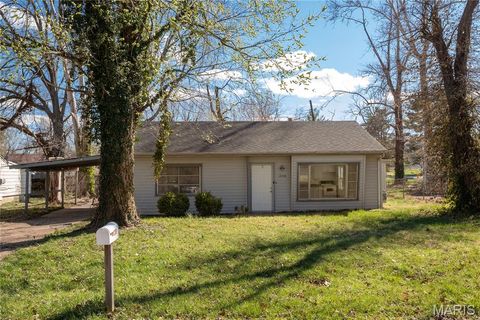 Photo of 1238 Maple Avenue, St Louis, MO 63138 (MLS # 25069847)