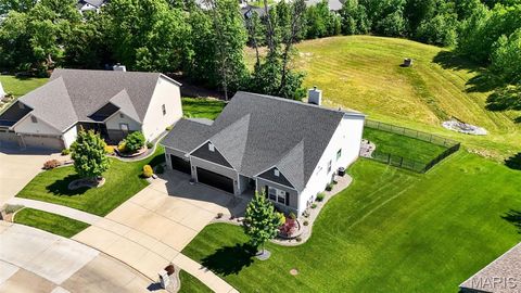 Tiny photo for 829 Mule Creek Drive, Wentzville, MO 63385 (MLS # 26030538)