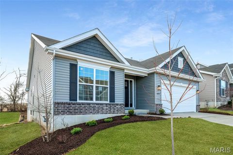 16787 River Stone Drive Florissant MO 63031