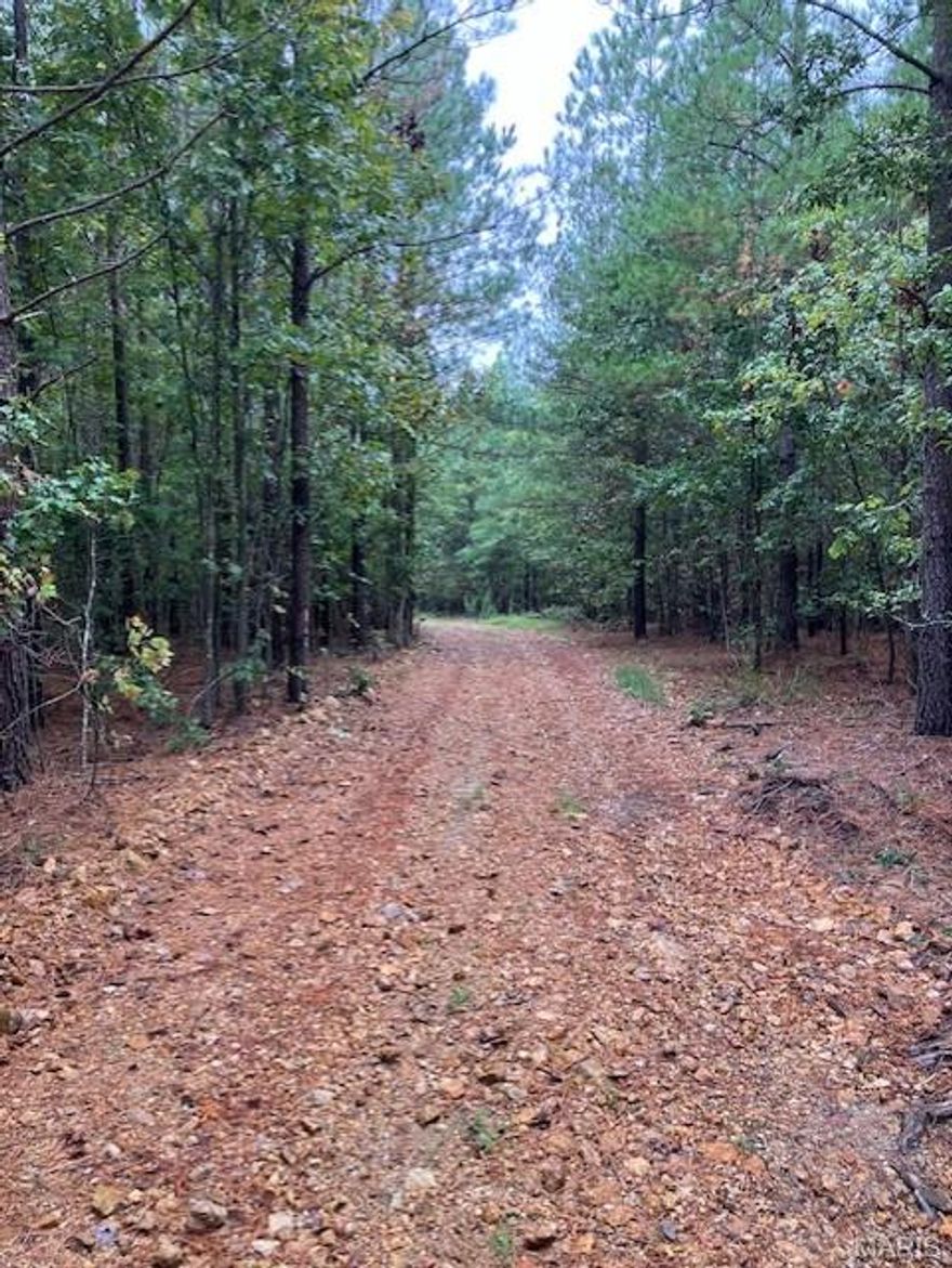 This 5.2 acre Ozark hideaway includes deeded access to a nearby shared spring-fed stream, and sits within about a mile of Mark Twain National Forest. 
This affordable wooded oasis comes with NO restrictions, and can be had for less than the price of a used truck or SUV. And there's a nice deeded easement gravel road leading from the county road to your property.
Hunt, camp, build, ride ATVs on your own land, or fish or play in the shared creek section ... endless opportunities.
This property is wooded and rolling. You are within a mile of the 22,176-acre Mark Twain National Forest ... public ground where you can also hunt, ride and explore. All this, and only about 2 miles by road from U.S. 67.
Use this wooded, secluded property as a base camp for adventure. This and surrounding land is teeming with deer, turkey and small game, and the occasional feral hog or maybe a black bear.
There is additional acres available which adjoin this piece if interested.