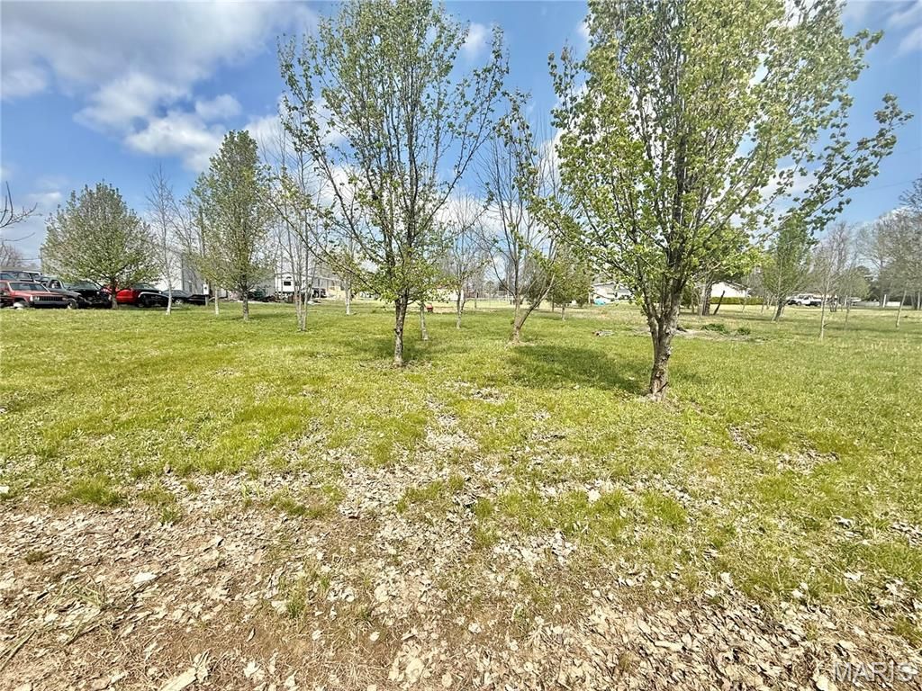 Photo of 0 county road 334, Fredericktown, MO 63645 (MLS # 26019539)