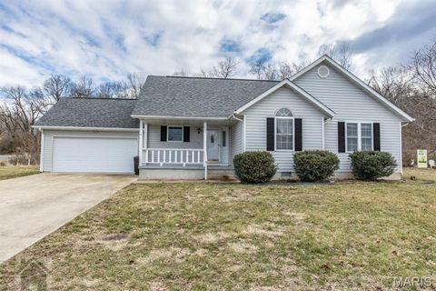 Photo of 101 Bailey Renee Court, Waynesville, MO 65583 (MLS # 26034705)