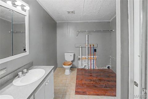 Tiny photo for 423 County Road 451, Oak Ridge, MO 63769 (MLS # 26019173)