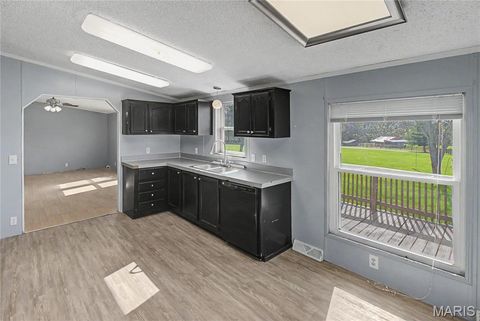 Tiny photo for 423 County Road 451, Oak Ridge, MO 63769 (MLS # 26019173)