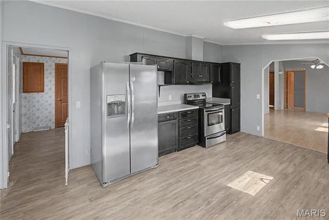 Tiny photo for 423 County Road 451, Oak Ridge, MO 63769 (MLS # 26019173)