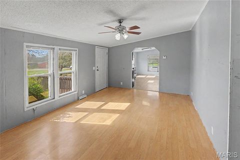 Tiny photo for 423 County Road 451, Oak Ridge, MO 63769 (MLS # 26019173)