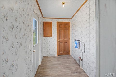 Tiny photo for 423 County Road 451, Oak Ridge, MO 63769 (MLS # 26019173)