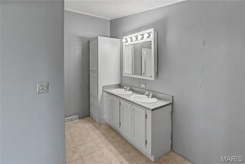 Tiny photo for 423 County Road 451, Oak Ridge, MO 63769 (MLS # 26019173)