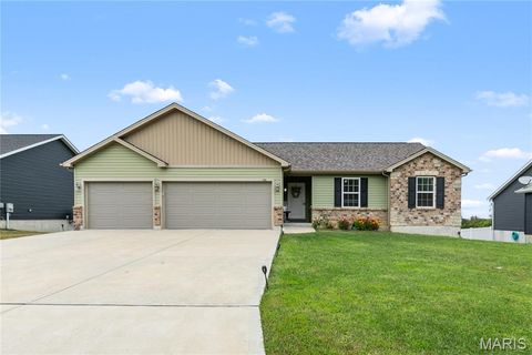 531 Austin Drive Truesdale MO 63380