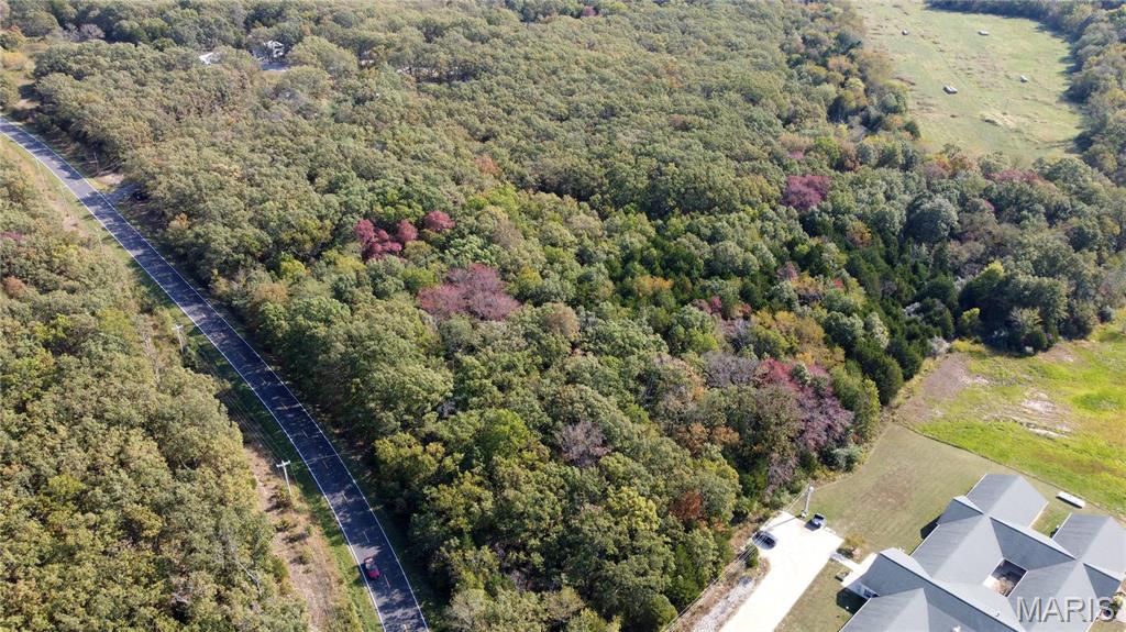 1 Springfield Road E