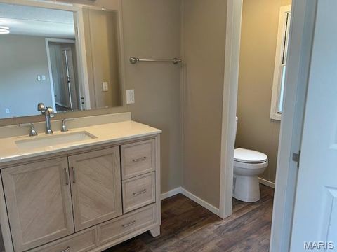 Tiny photo for 138 Bluegill Circle, Moscow Mills, MO 63362 (MLS # 25067690)