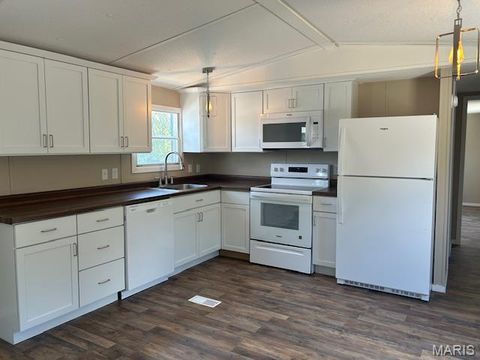 Tiny photo for 138 Bluegill Circle, Moscow Mills, MO 63362 (MLS # 25067690)