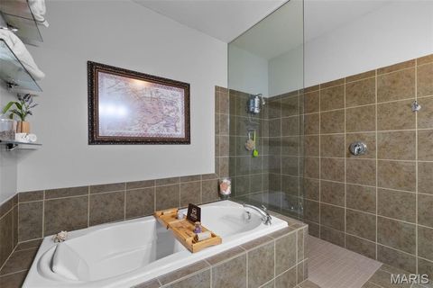 Tiny photo for 901 Washington Ave Ave #704, St Louis, MO 63101 (MLS # 26009650)