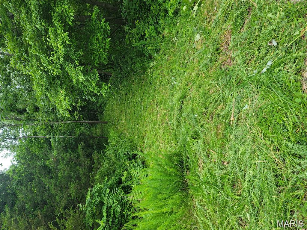 Augusta Shores #3 - Land